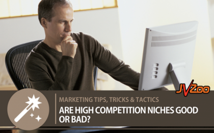 ARE HIGH COMPETITION NICHES GOOD OR BAD?