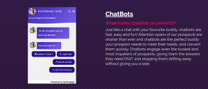 chatbot botengage